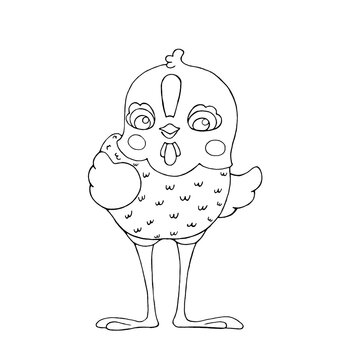 Cute cockerel chick. Coloring book for children. Chicken outline. Isolated raster illustration of a farm animal, hand drawn.