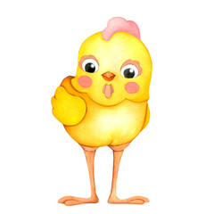 A small yellow chicken with a scallop in front. Watercolor illustration in cartoon style, isolated on a transparent  background, hand drawn.