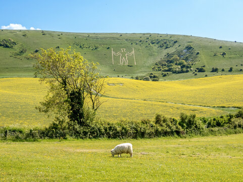 The Long Man of Wilmington, a hill carving on the Sussex Downs, possibly Neolithic, 15th century or later, above the village of Wilmington, East Sussex, England, Erope