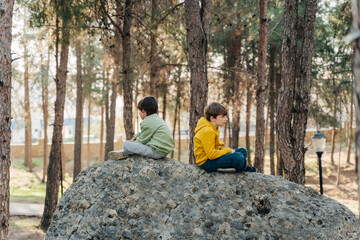 School kids boys having a conflict quarrel sitting on a rock boulder in the city forest park and...