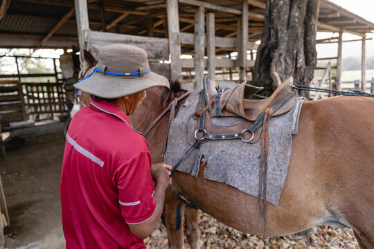 Rider saddling up his horse