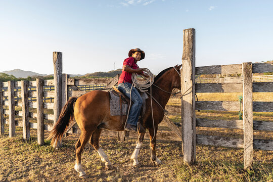 Man riding a horse 