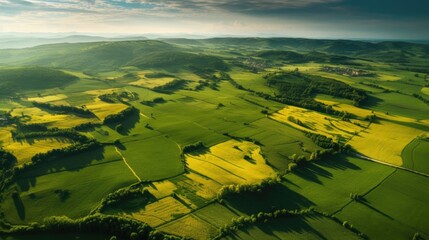 Top view aerial photo of settlements and fields. Top aerial view of green fields and meadows in summer. Abstract landscape with lines of fields, grass, trees,  sky and lush foliage. 