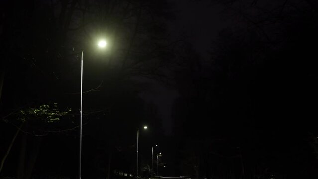 Night glow, illuminated road, park avenue. Line glowing streetlights on nighttime street within park.
