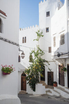 White houses in the old town in Tangier