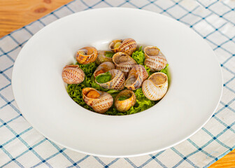 snails dishes, snails ready to eat. Restaurant serving in a deep white plate. Serving dish, snails in a plate. dinner in a restaurant. photo for restaurant menu 