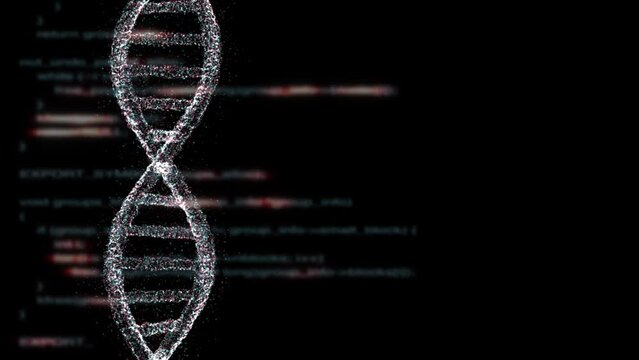 Blurred computer code with dna chain on clean black copy space background. Seamless looping.