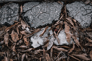 Scraps of broken pavement were put together and there were dry leaves around