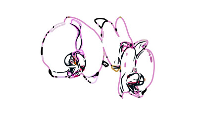 Color sketch of an orchid flower with transparent background