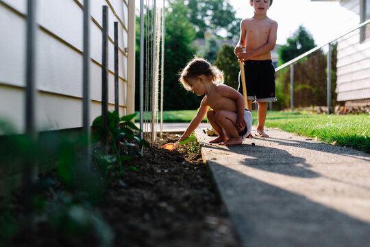 Siblings tend to garden