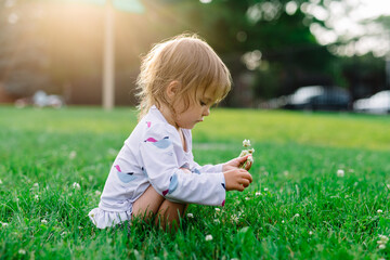 Girl picks dandelions