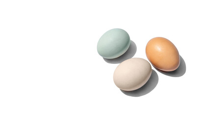 Farm Fresh Organic Eggs