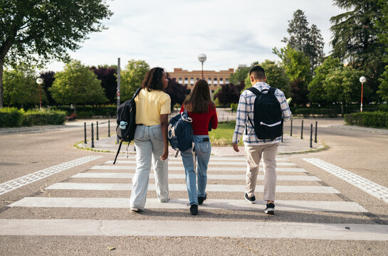 Young Students on the way to class At University. Back to school.