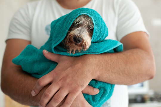 At the pet stylist