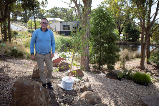Gardener with tree in pot ready for planting