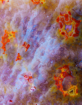 coral skeleton fossil crystal jade agate texture detail