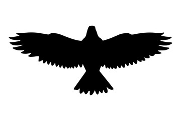 Eagle Bird flying silhouette isolated. Vector illustration