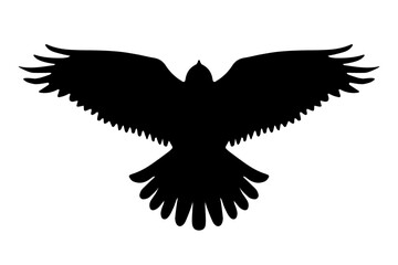 Bird of prey flying silhouette isolated. Vector illustration
