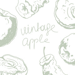 Vintage apple illustration. Sketch drawing. Hand drawn sketch. Vintage pencil sketch. Brochure design template, card, banner, poster design.