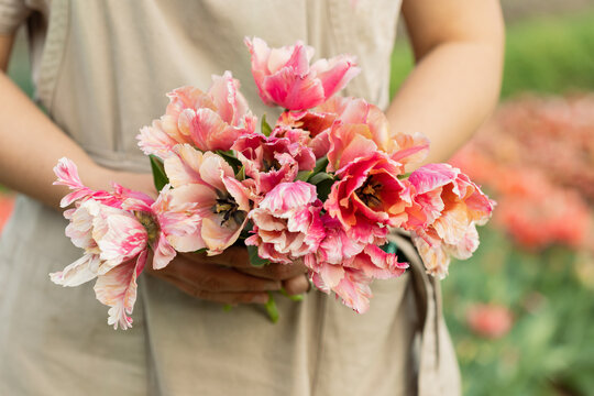 Close-Up of A Woman Embracing a Bouquet of Pink Tulips