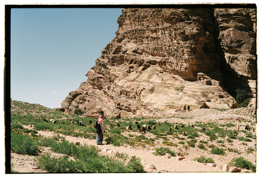 Shepherd in the mountains 