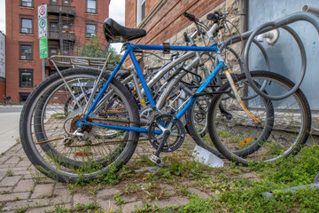 Fototapeta na wymiar A row of rusty bicycles in a bike rack on a weedy sidewalk, nobody