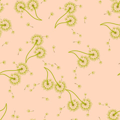 Dandelion background your design. Abstract floral seamless pattern.