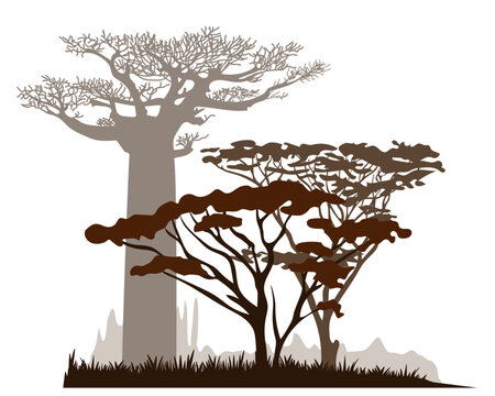 African savannah landscape with acacia and baobab tree silhouettes. Vector illustration.