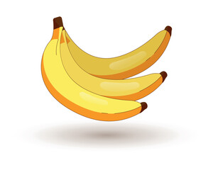 Bananas. Vector on white background.