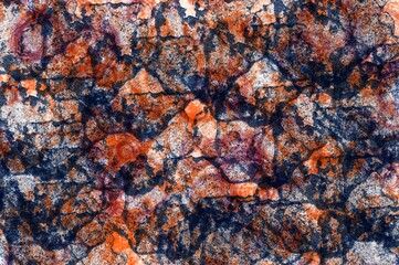 Abstract Alcohol Art with vivid colors