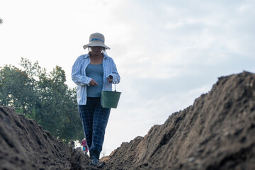 Fototapeta na wymiar peasant woman planting beans in Mexico