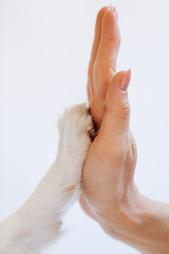 Woman and Dog Giving High Five 