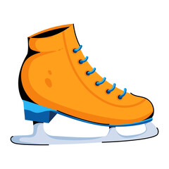Skating Shoe