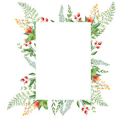 Watercolor forest frame with cloudberries, fern, green branches and red berries isolated on white background. Hand drawn botanical illustration. Can be used as invitation card, for birthday
