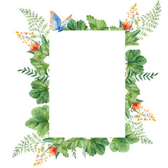 Cloudberry leaves and berries, green branches, yellow wildflowers, blue butterfly. Watercolor vertical summer forest frame isolated on white background. Hand drawn botanical illustration. Can be used
