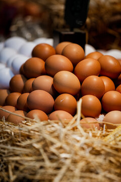 Chicken eggs in the straw .