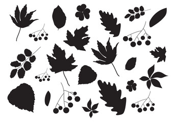 A silhouette pattern of autumn various leaves in black color on white background for wallpapers, fabrics, packaging, webs, stickers, cards, posters