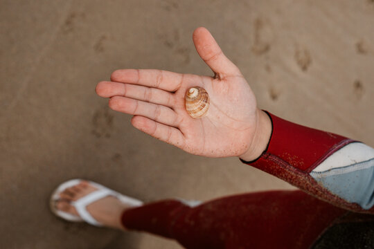 Childs hand with shell