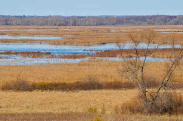 Horicon Marsh State And National Wildlife Refuge Near Horicon, Wisconsin
