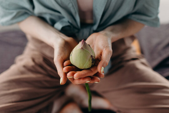 Lotus bud in hands