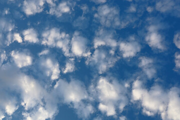 Altocumulus clouds floating in the blue sky