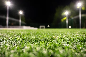 Foto op Plexiglas Weide Green grass field background for soccer and football sports, volleyball. Green lawn pattern and texture background. Close-up image