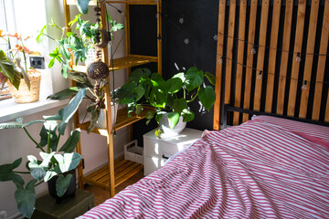Loft style bedroom interior, black wall with wooden slats, metal bed, retro light bulbs garland, potted plants on a trapezoidal window in the attic. Modern Green House