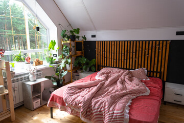 Unmade bed with red striped linen and a mess in Loft style bedroom interior, black wall with wooden slats, metal bed, potted plants on a trapezoidal window in the attic. Modern Green House