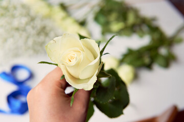 Florist hand holding a white rose with leaves and scissor on the background.