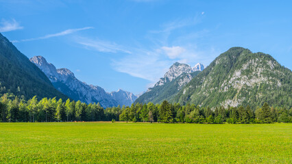 View of the Krma Valley on a sunny summer day. Grassy green pastures in the foreground and breathtaking peaks of the Julian Alps on background. Triglav National Park, Slovenia © pyty