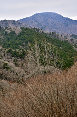 丹沢の大棚ノ頭より御正体山を望む
