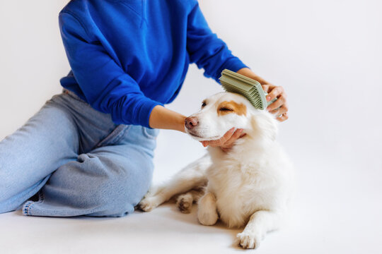 Woman Brushing Her Beautiful Dog