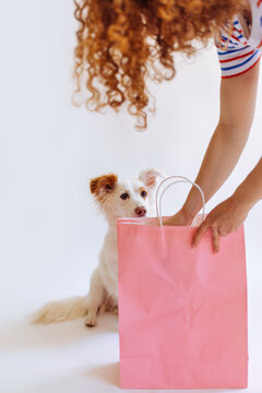 Woman Taking Treat from Bag for Her Dog