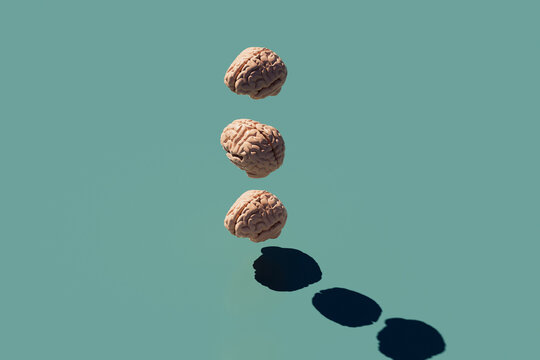 tile of brains